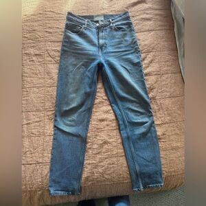 Everlane The Original Cheeky Jean